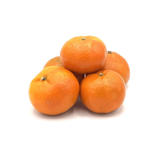 Orangen groß - Fruchtland