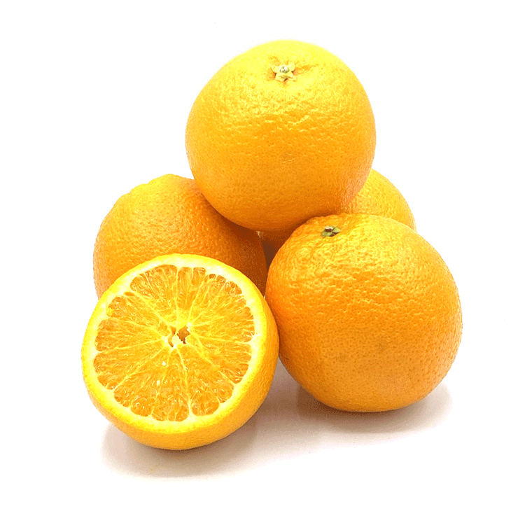 groß Fruchtland - Orangen